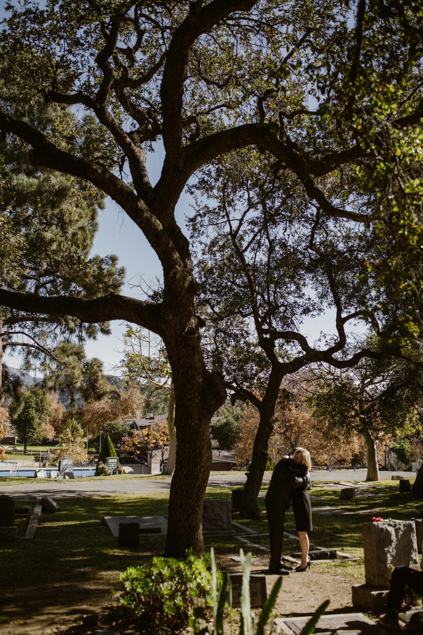 A couple embraces under a large tree in a serene cemetery, capturing a moment of reflection and mourning.